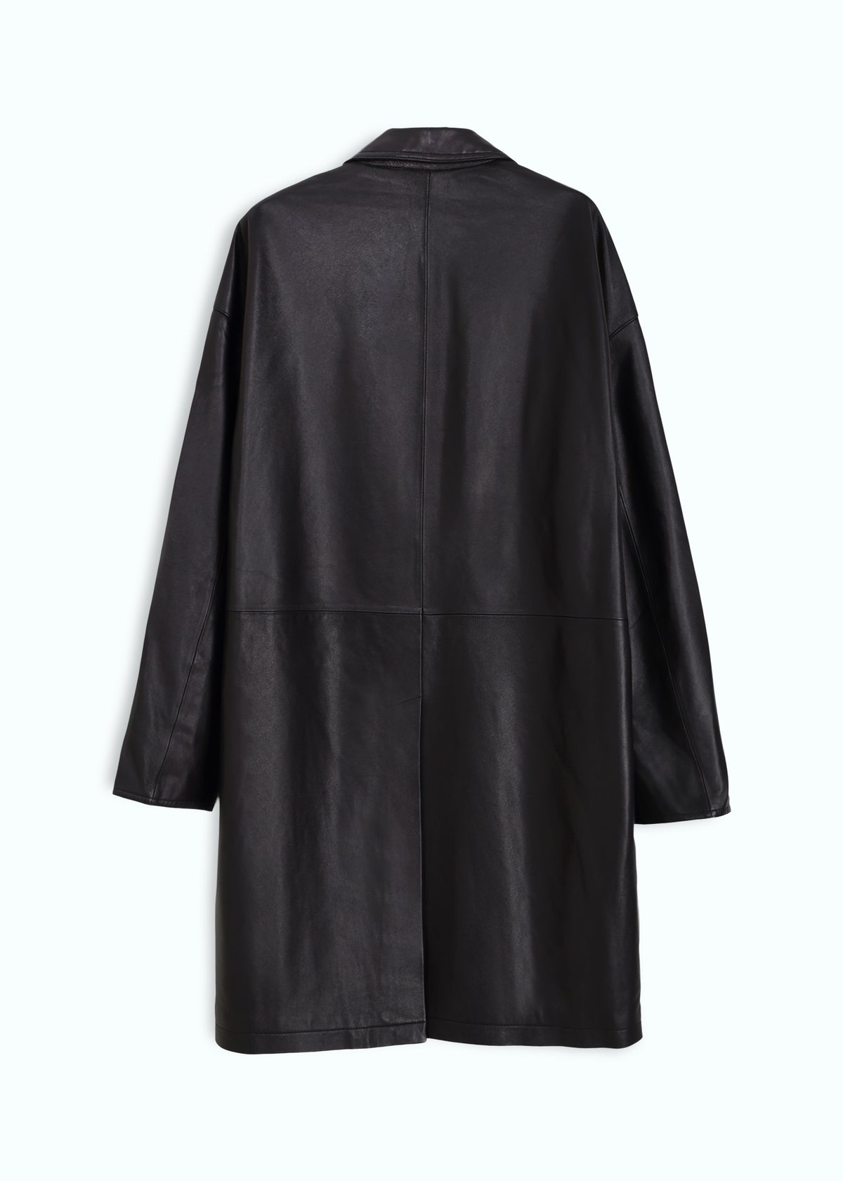 Brumale Leather Down Coat