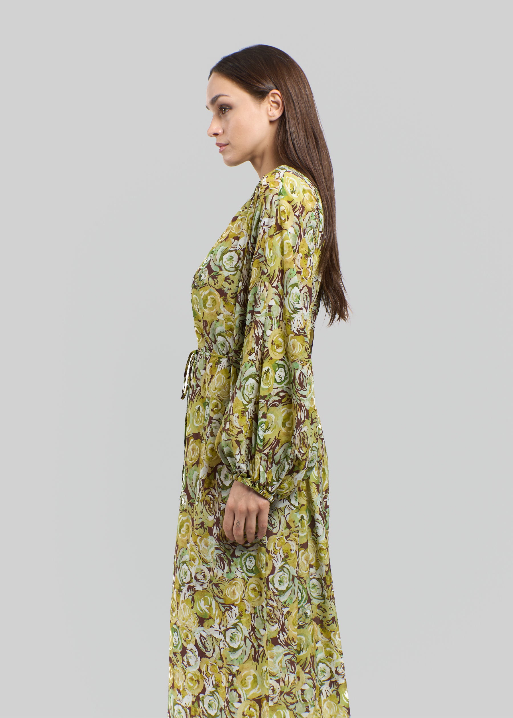 Rosa Verde Silk Dress