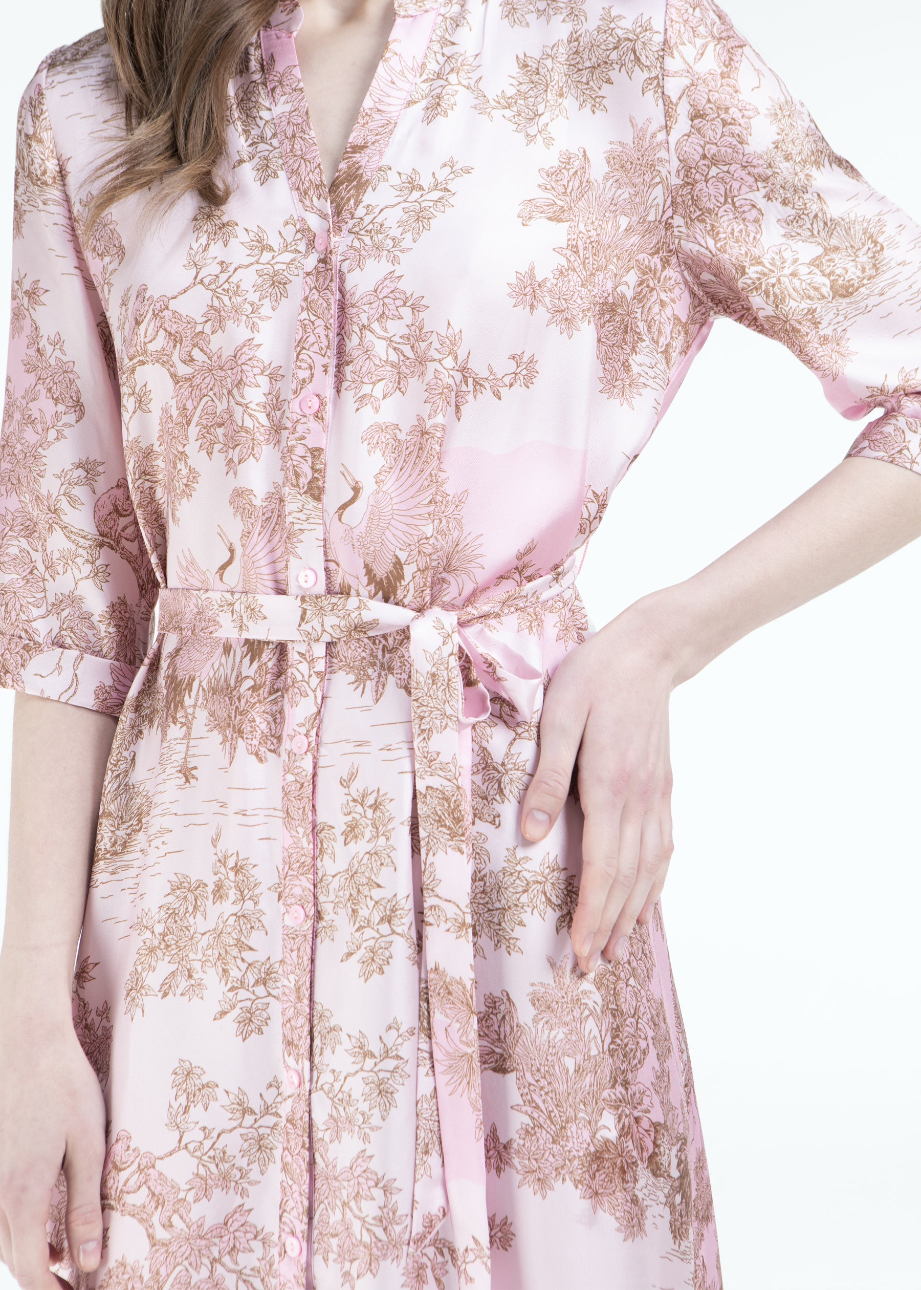 Toile De Jouy Silk Dress