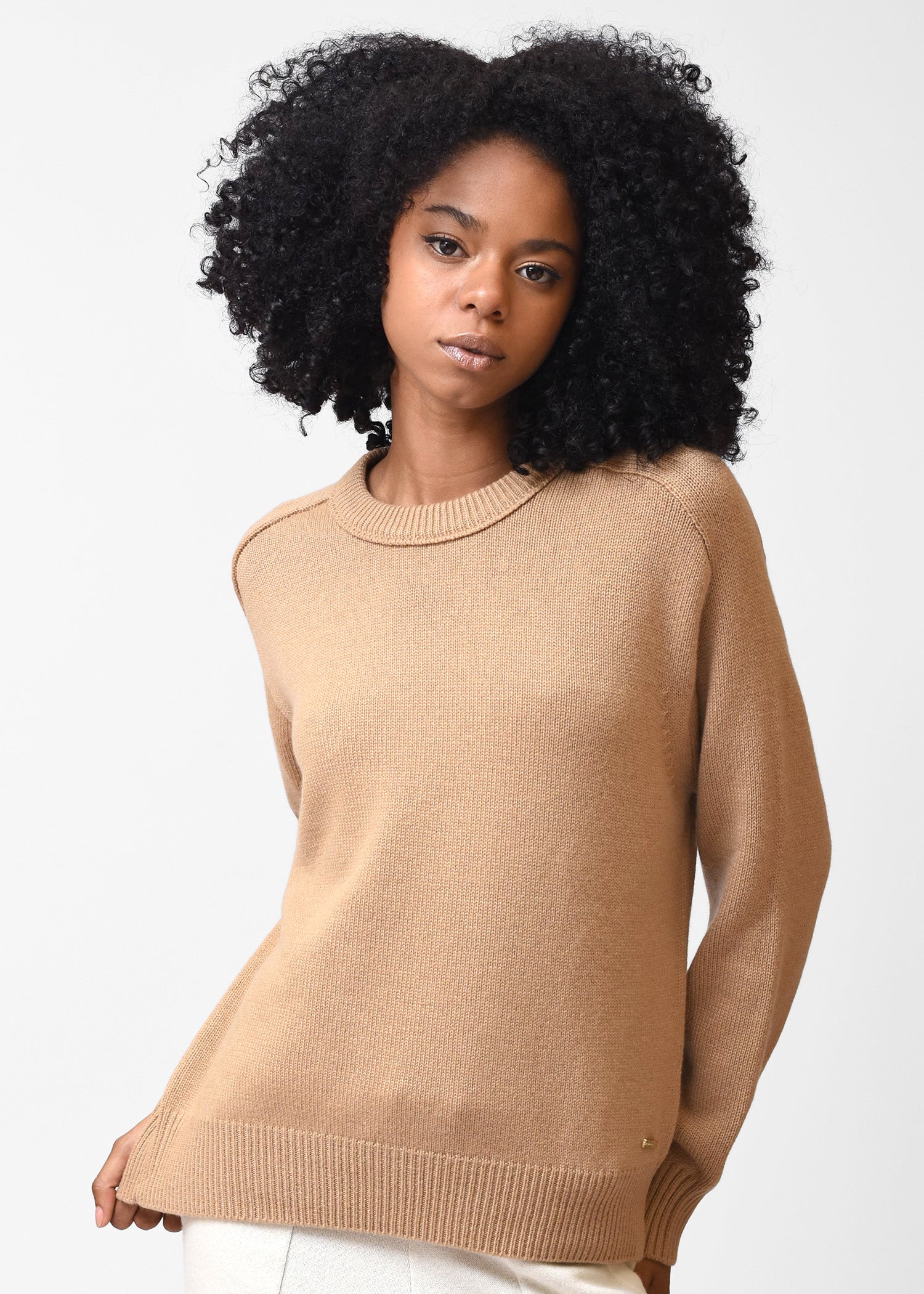 Basic Round Neck Cashmere Jumper