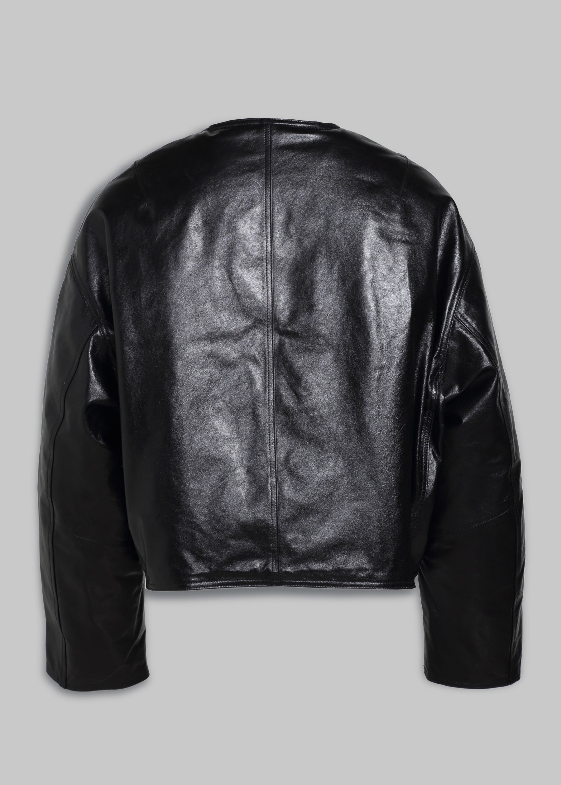 Cambia Reversible Leather Bomber Jacket