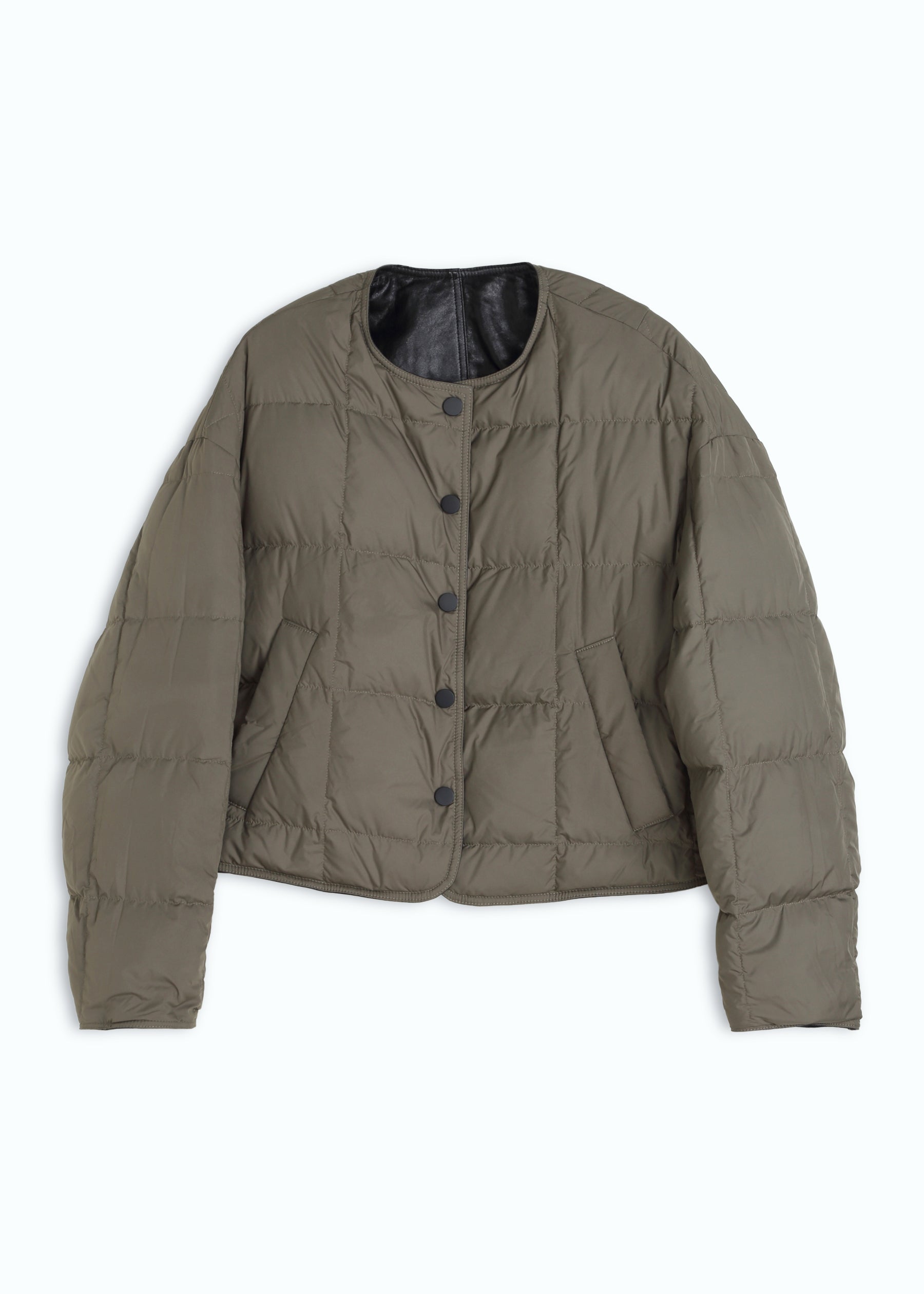Cambia Reversible Bomber