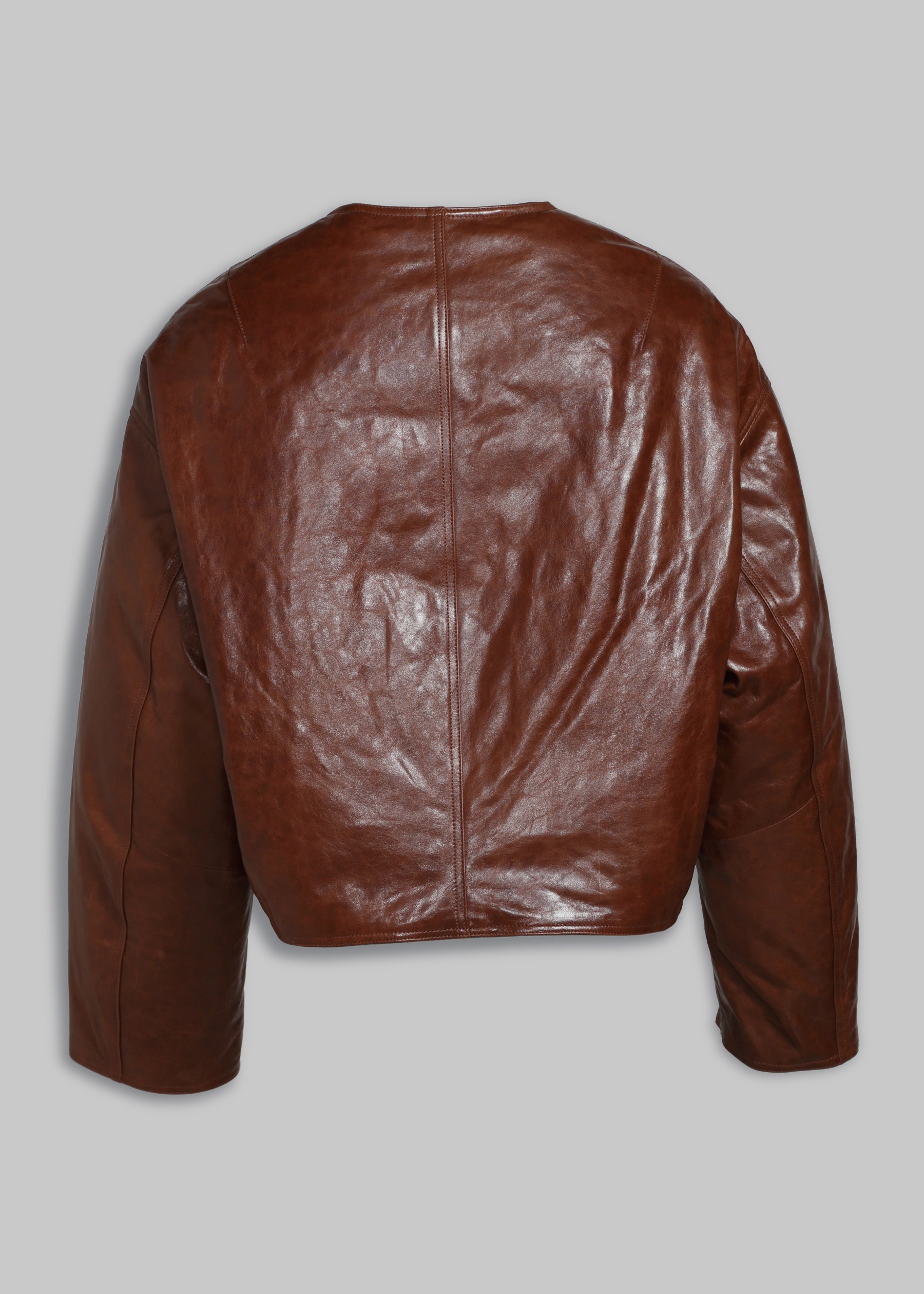 Cambia Reversible Leather Bomber Jacket