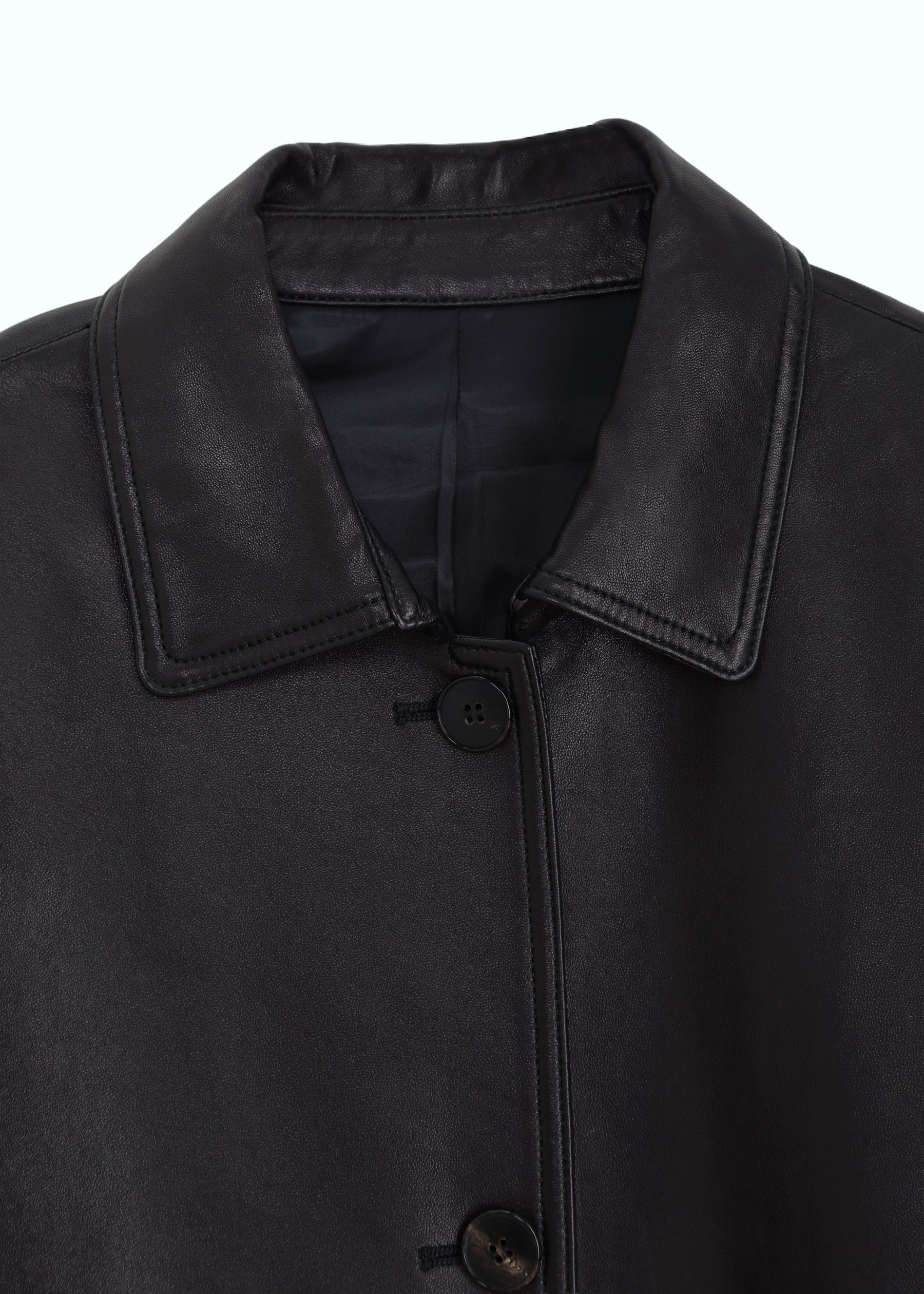 Brumale Leather Down Coat