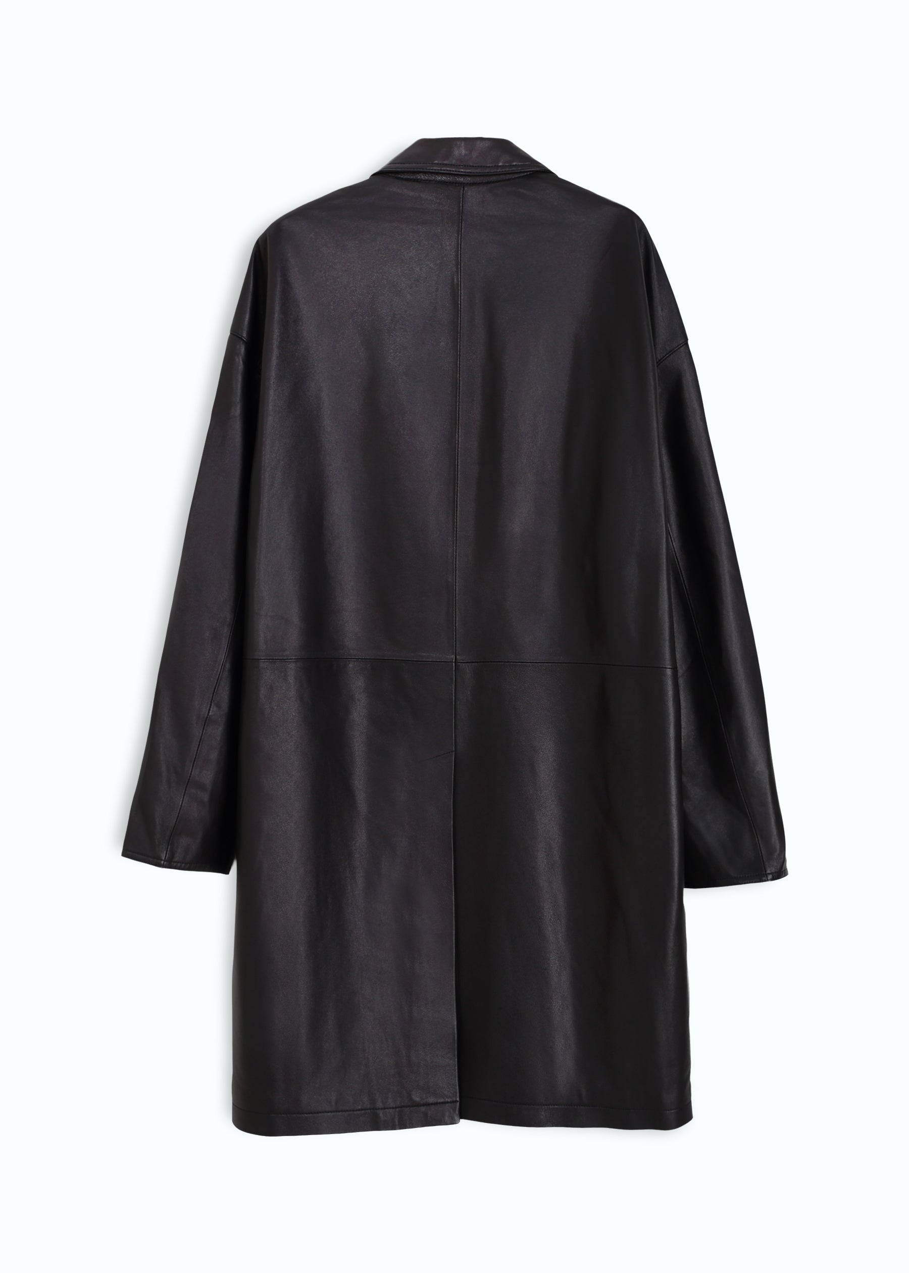 Brumale Leather Down Coat