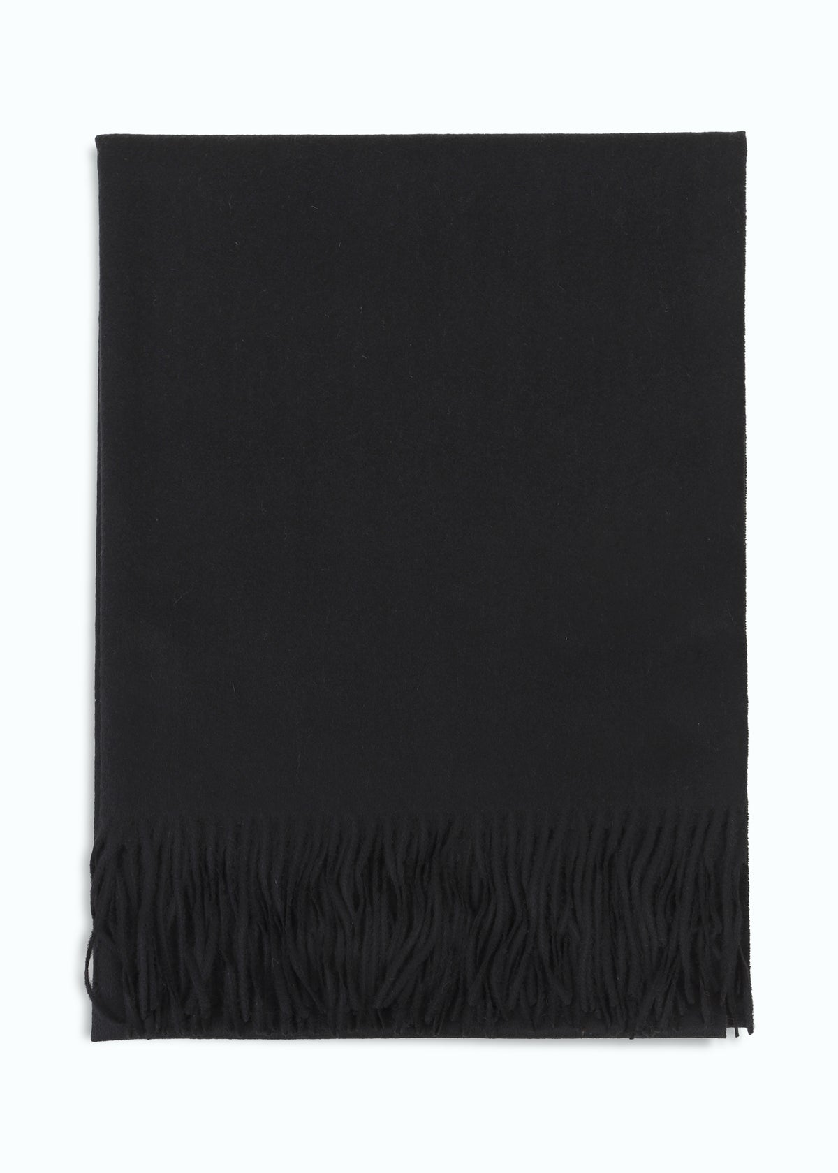 Araldico Cashmere Scarf