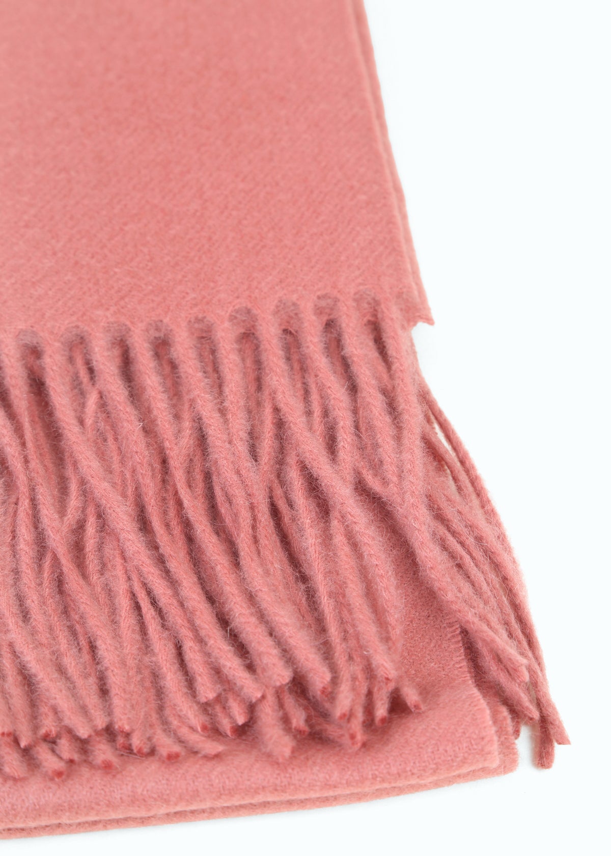 Araldico Cashmere Scarf