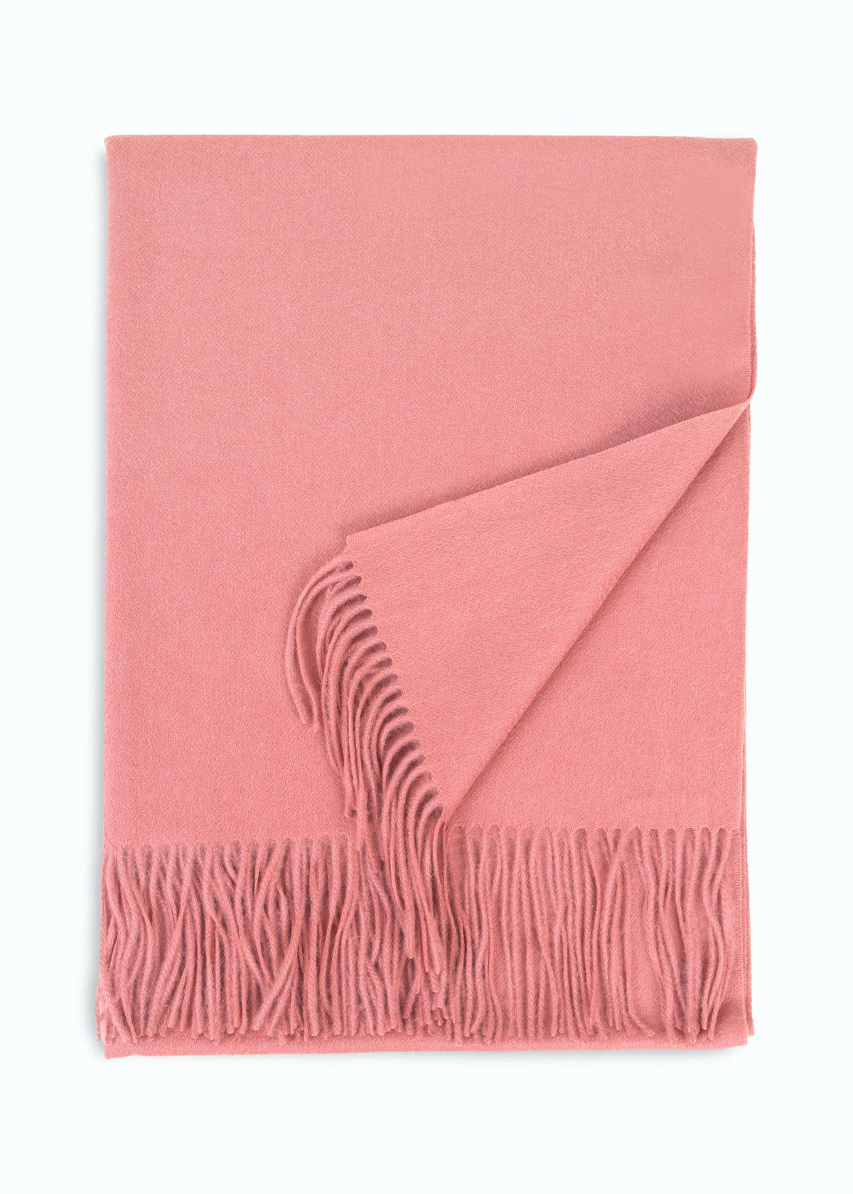 Araldico Cashmere Scarf